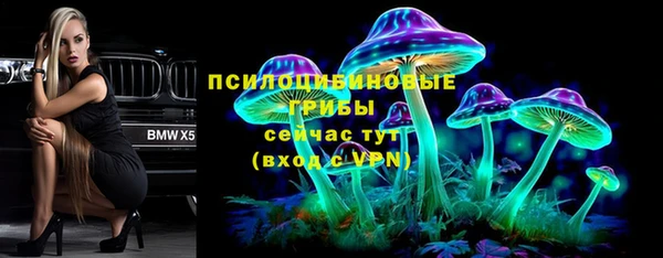 дживик Алзамай
