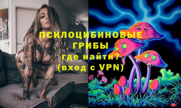 гидропоника Алексин