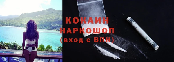 мяу мяу мука Аркадак