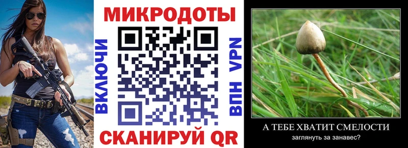 закладки  Мытищи  Галлюциногенные грибы ЛСД 